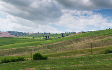 Fototapeta na wymiar Tuscany landscape, beautiful green hills springtime