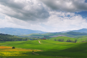 Obraz premium Tuscany landscape, beautiful green hills springtime