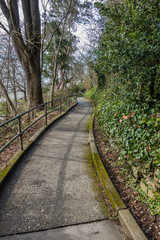 Lincoln Park Sidewalk