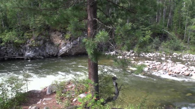 Picturesque mountain river Kyngarga. Tunka valley, in the vicinity of the resort Arshan village. Russia, Siberia