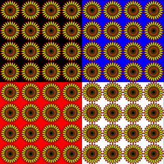 Set of sunflowers in different colored backgrounds. Bright chrysanthemum flowers asters for registration of the spring and summer.
