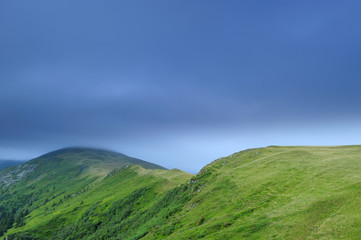 Alpine grassland, Leota mountain range, Arges County, Carpathian Mountains, Romania, July, 2011