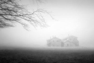 mystery house in the forest with fog