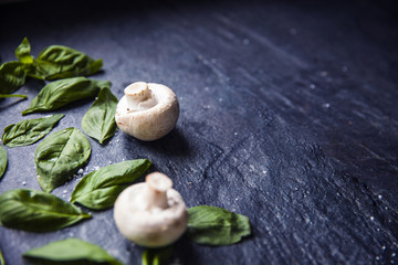 basil leaves on food background with mushrooms
