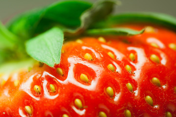 Macro photo of a strawberry