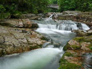 Waterfall and stream in the forest mountain valley