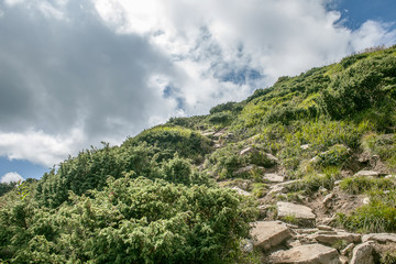 Landscape in the mountains