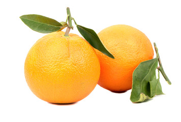 Two orange fruit with leaves