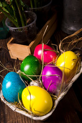 easter eggs and daffodils