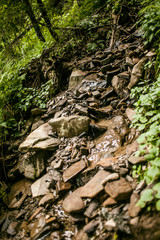 Stone in the mountain forest