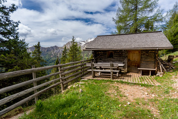 Alpine Hut in a Pine Forrest