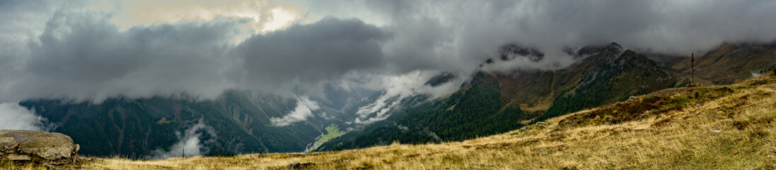 Alpine Panorama with Pines and Mountains