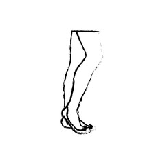 Woman legs cartoon icon vector illustration graphic design