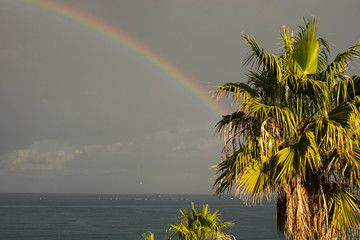 Rainbow appeared after heavy rain. She hides behind a palm tree and goes to sea. Marina di Patti. Sicily