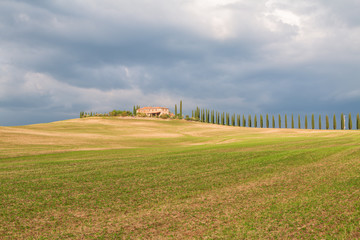 Tuscany landscape, beautiful green hills springtime