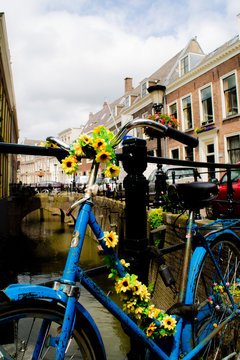 Holandia, kwiaty, kolorowo, niebieski,szczęście, wolność,czyste powietrze,hipis,piękny dzień,słoneczny dzień