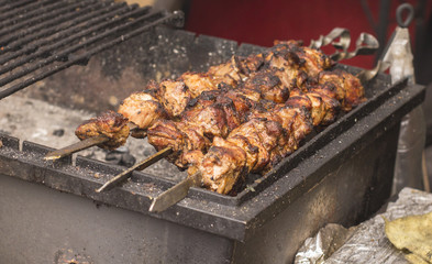 iece of delicious shish kebab and pepper skewers grilling on the grill