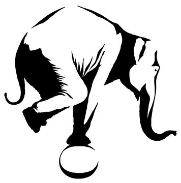 black and white linear paint draw elephant illustration