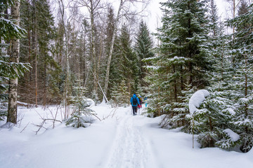 A small group of tourists traveling on snow-covered forest.