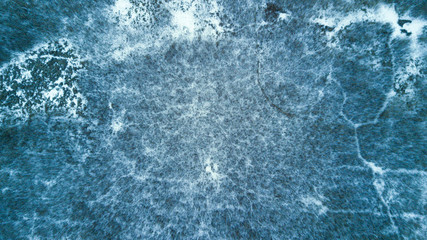 winter forest from the sky
