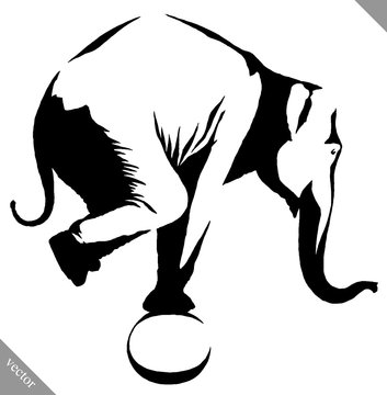 black and white linear paint draw elephant illustration