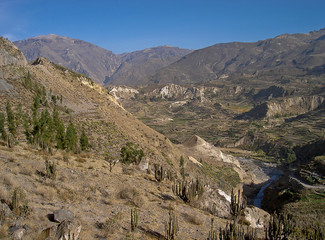 Peru - Canon del Colca