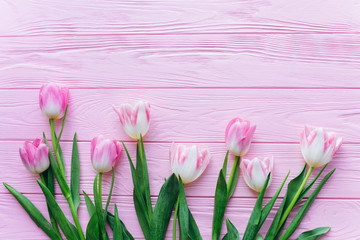 Wooden pink background and tulips. Conception holiday, March 8, Mother's Day.
