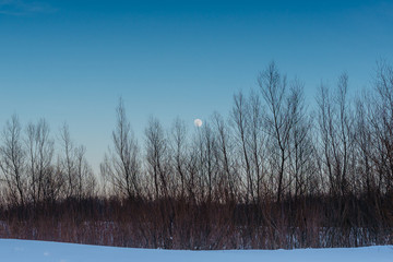 sky after sunset, moon
