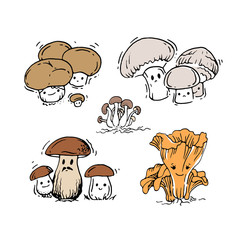 Set of mushrooms