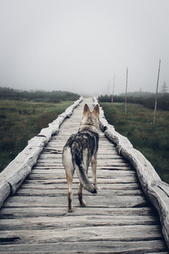 To the unknown