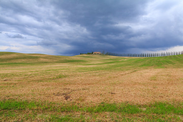 Obraz premium Tuscany landscape, beautiful green hills springtime