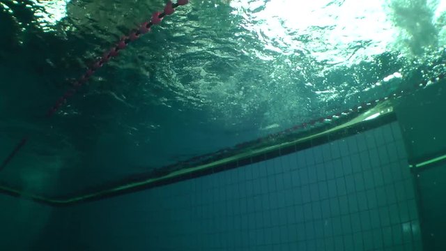 Girl swims butterfly on the pool lane, wide shot, underwater view.
