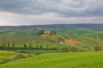 Tuscany landscape, beautiful green hills springtime