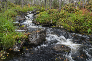 Stream in the autumn forest.