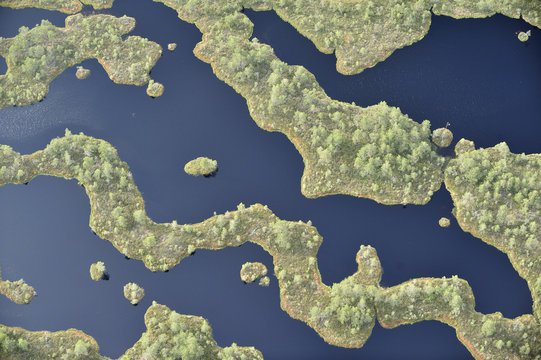 Aerial view of bog, Kemeri National Park, Latvia, June 2009