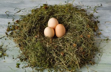 Fresh eggs