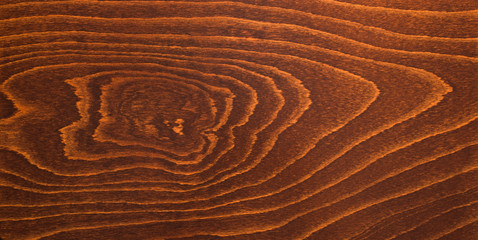 Naklejka premium natural beech texture, brown color
