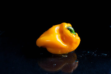 yellow pepper on a black background