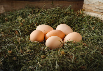 Fresh eggs
