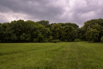Menacing sky over the forest