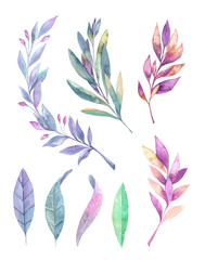 Fototapeta na wymiar Hand drawn watercolor illustration. Spring leaves and branches. Floral design elements. Perfect for invitations, greeting cards, blogs, posters and more