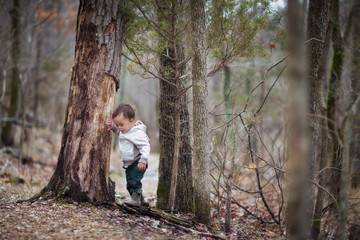 Toddler boy exploring forest