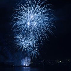 Beautiful firework over the water in the night sky