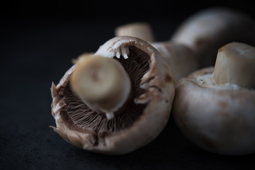 Raw champignons bacground