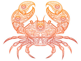 Colorful crab isolated on white background. Vector ornate decorative doodle crab design