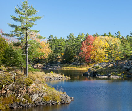 Fall Reflections
