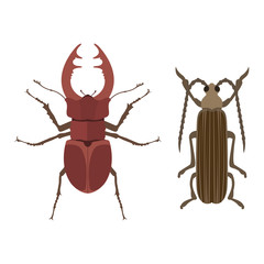 Insect icon flat isolated vector illustration.