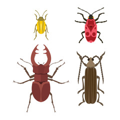 Insect icon flat isolated vector illustration.