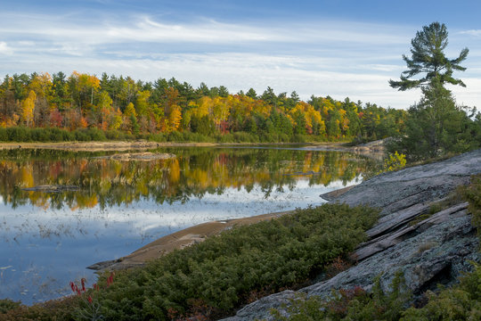 Fall Reflections