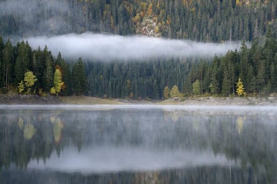 Morning mist over Black Lake, Durmitor NP, Montenegro, October 2008